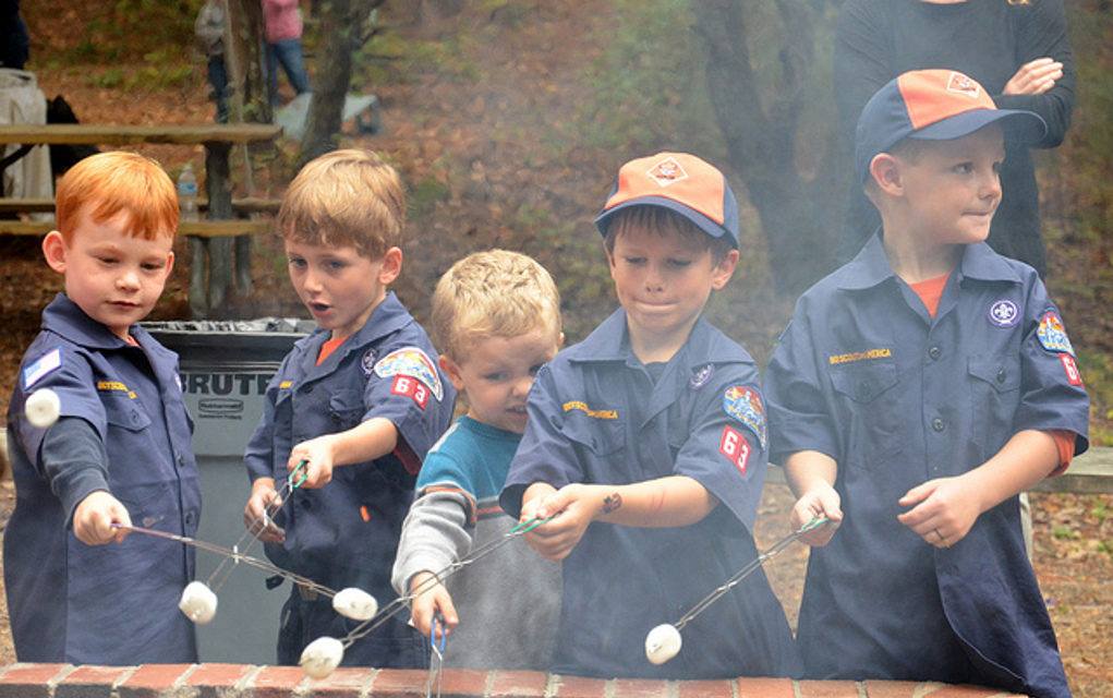 cub scouts in my area